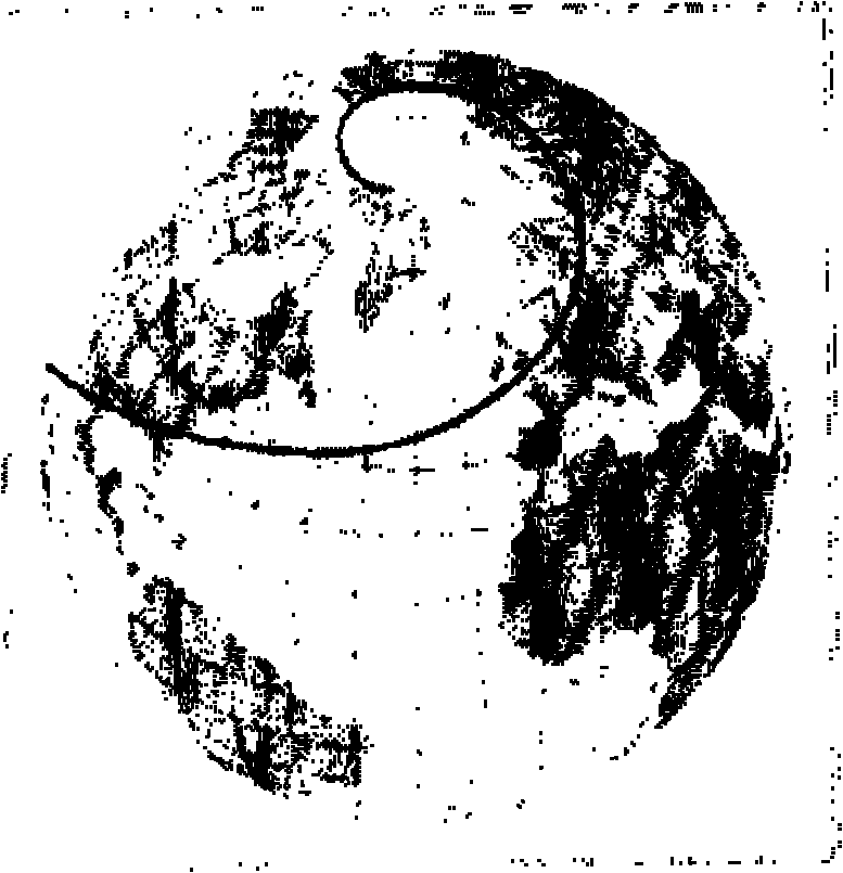 Path deviation generation analysis method for ship at sea