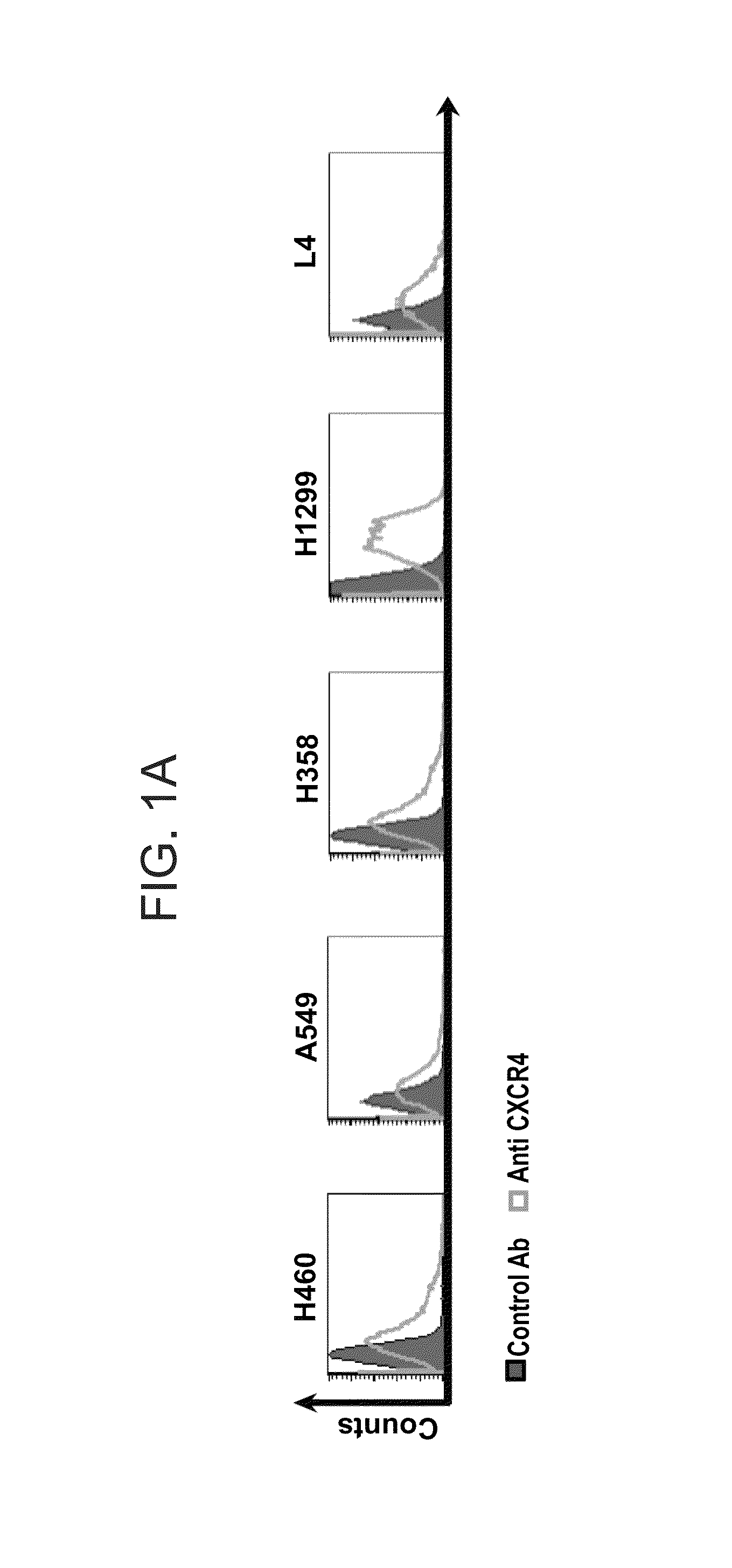 Peptides and use thereof in the treatment of large cell lung cancer