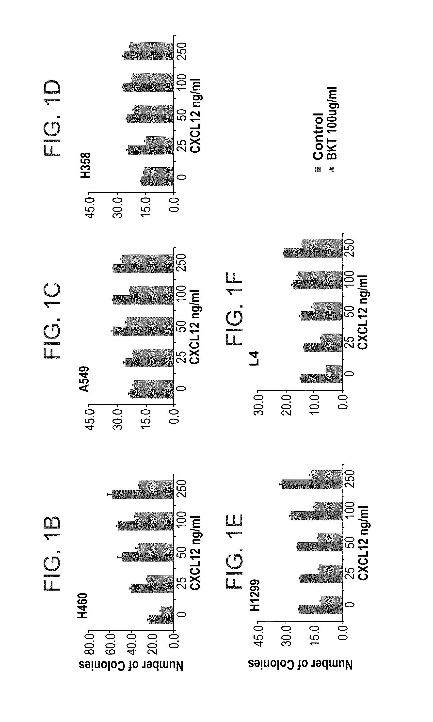 Peptides and use thereof in the treatment of large cell lung cancer