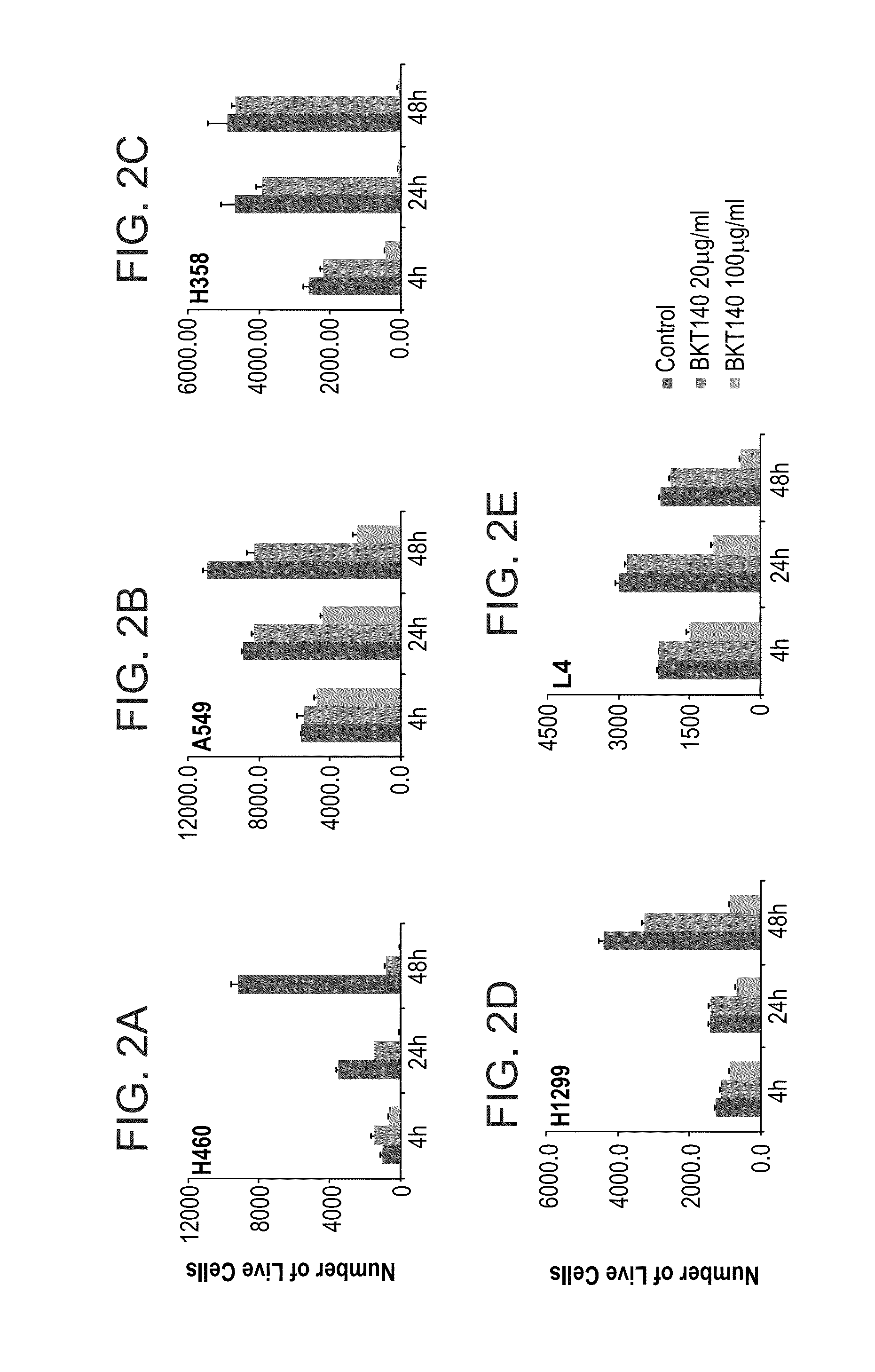 Peptides and use thereof in the treatment of large cell lung cancer