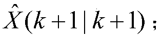 Kalman filtering method based on amplitude information