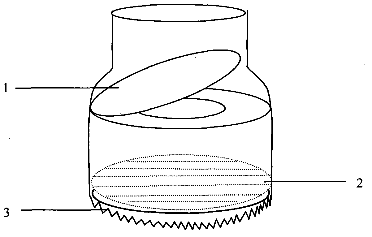 Efficient and automated sucking and catching device aiming at colloidal aquatic organisms including jellyfish