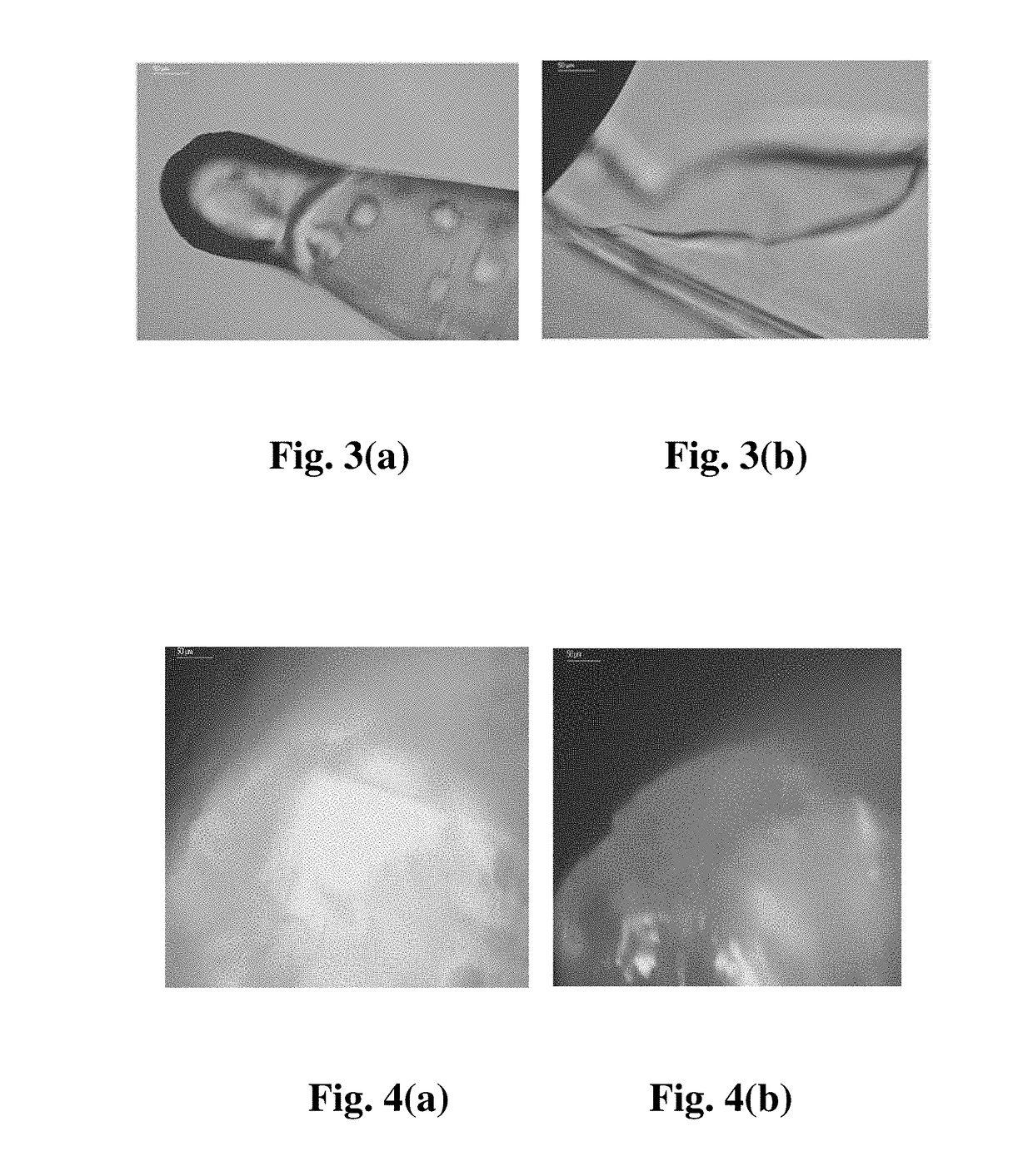 Method of sampling oil-bearing inclusion