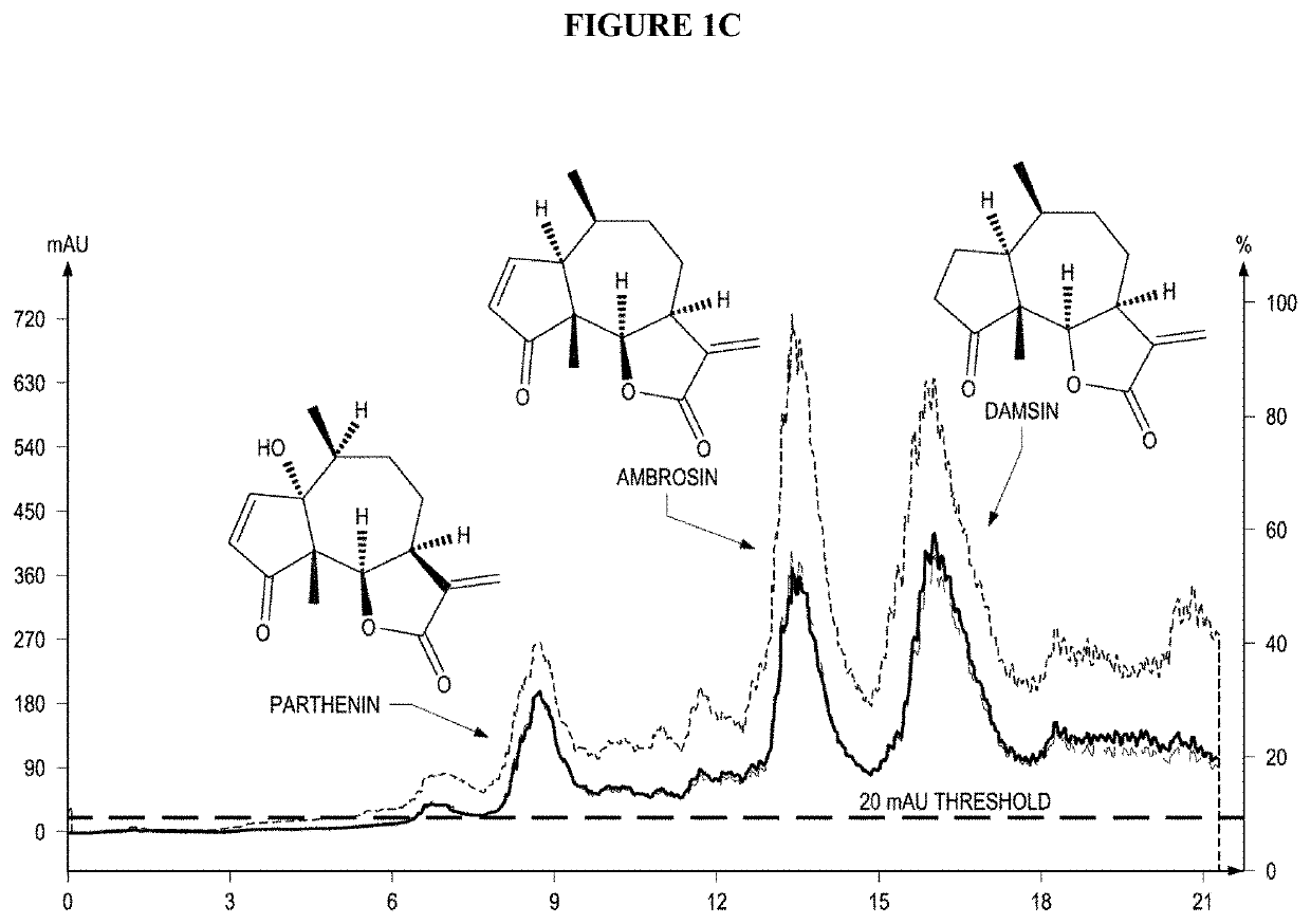 Medicinal ambrosia maritima extracts