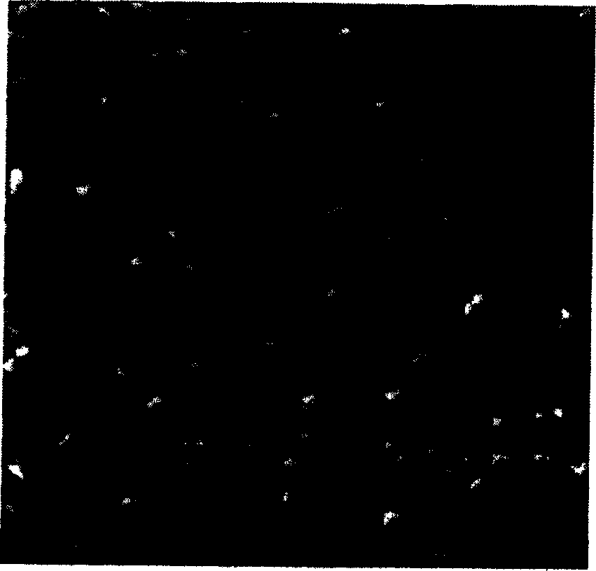 Laser synthesis preparation method of intermetallic compound and granule reinforced composite material