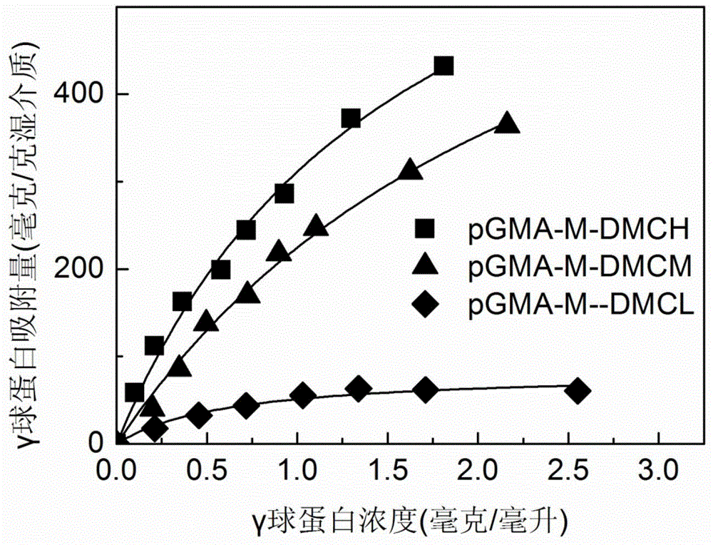 Method for preparing high-capacity protein chromatographic medium through atom transfer radical polymerization