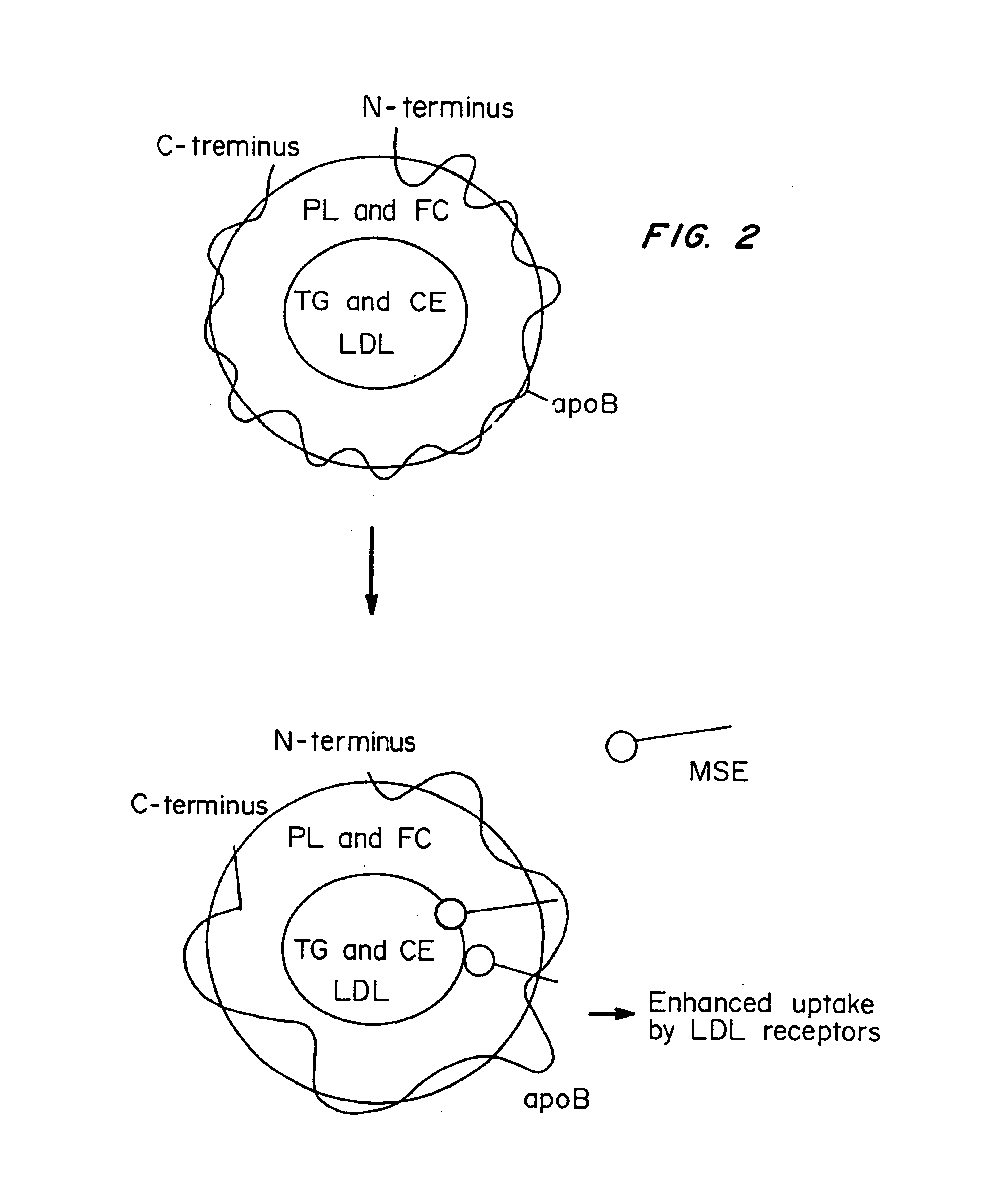 Methods and compositions to lower plasma cholesterol levels