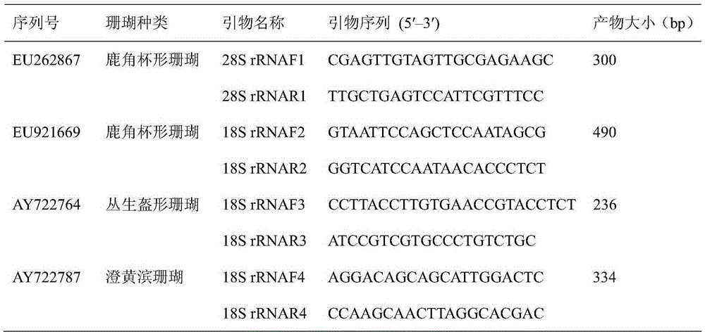 Hermatypic coral total RNA extraction method