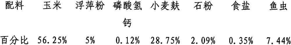 9-week laying duck feed formula capable of substituting fishmeal by utilizing duckweed powder and water flea