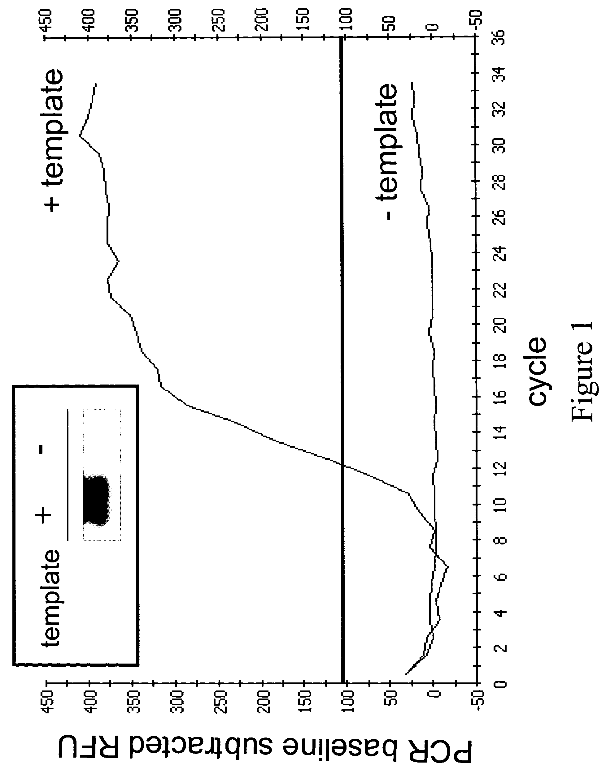 Compositions and methods for the detection of human T cell receptor variable family gene expression