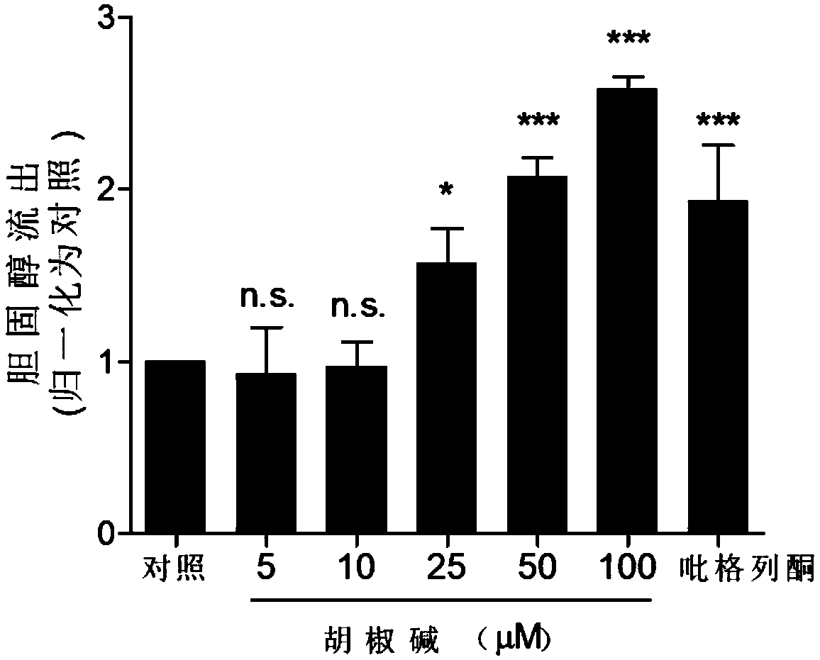 Novel hypolipidemic effect of piperine