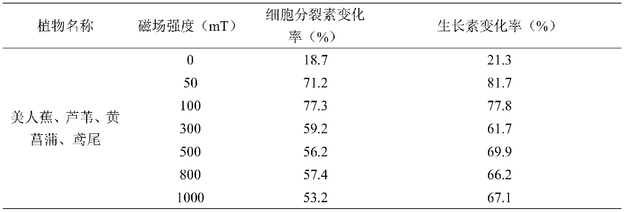 System and method for repairing river and lake water in floating water purification field