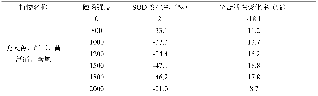 System and method for repairing river and lake water in floating water purification field