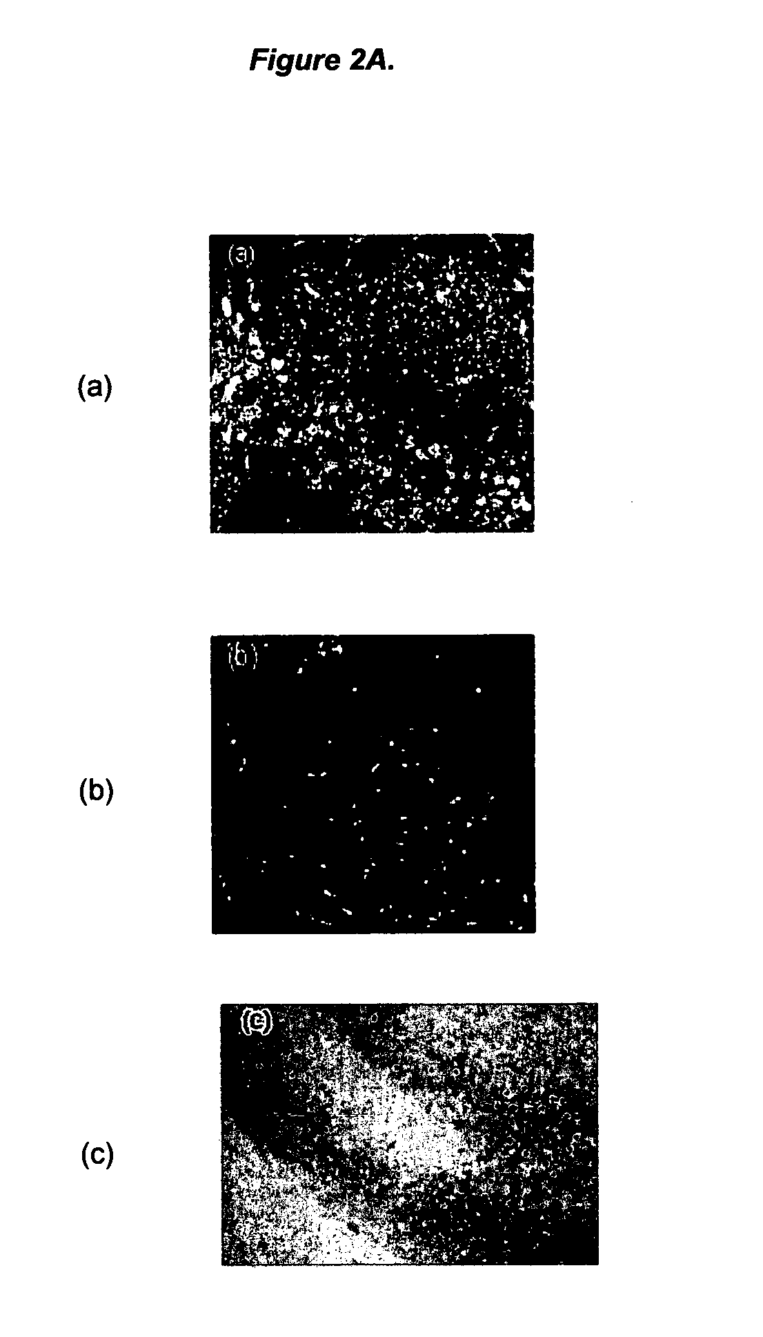 Ligands for aggregated tau molecules