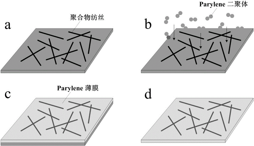 Spinning enhanced parylene composite film and preparation method thereof