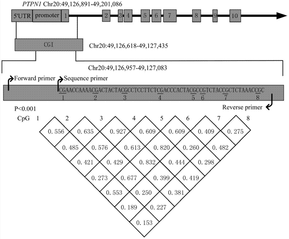 Kit for detecting methylation degree of ptpn1 gene promoter region related to type 2 diabetes and application thereof