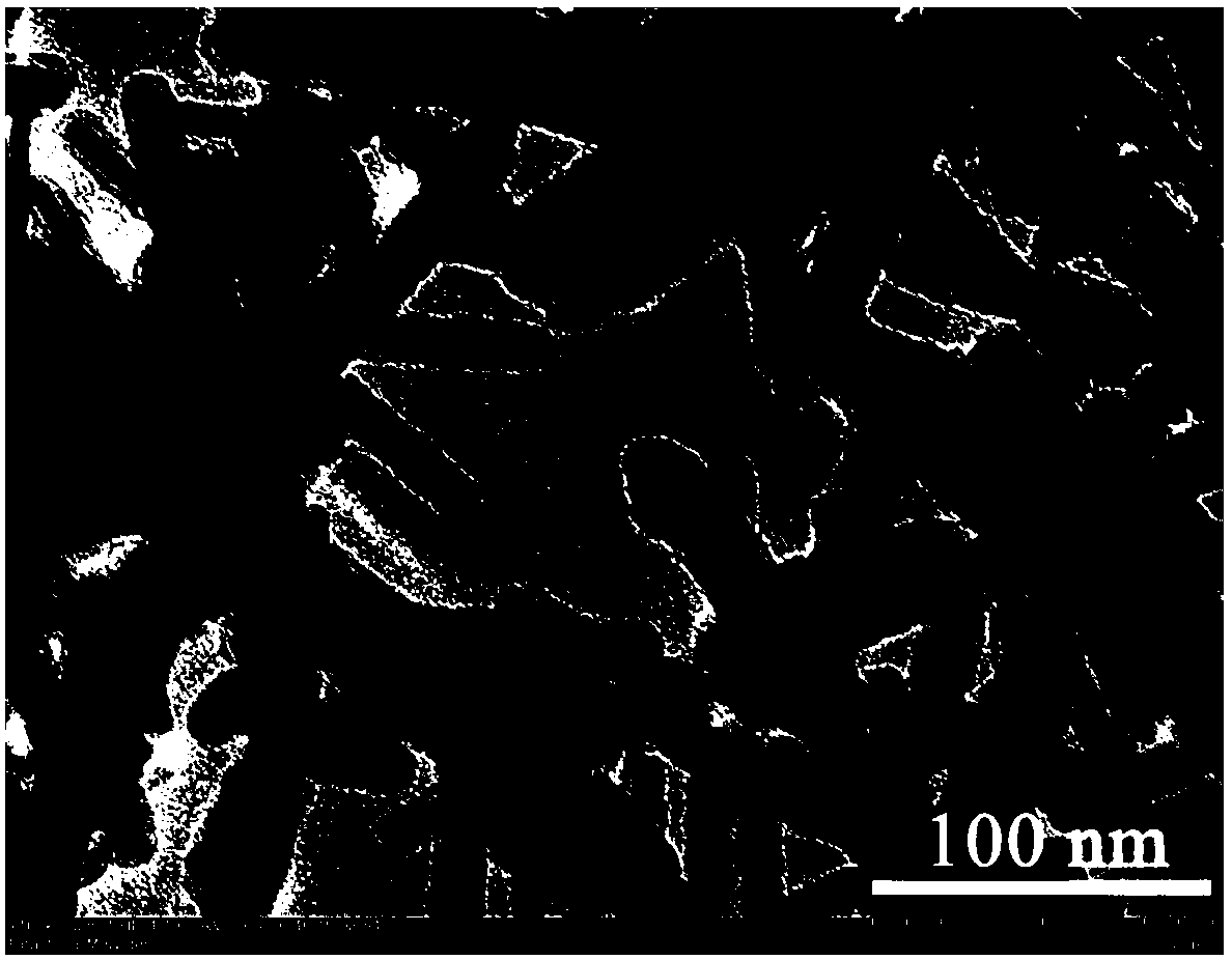 Functional nano-titanium dioxide grafted with antioxidant molecules on surface and preparation method of functional nano-titanium dioxide