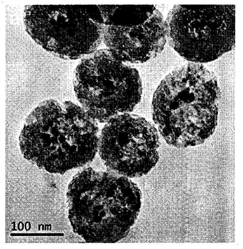 Preparation method of multi-pore canal nuclear shell type magnet gold compound nano-particle