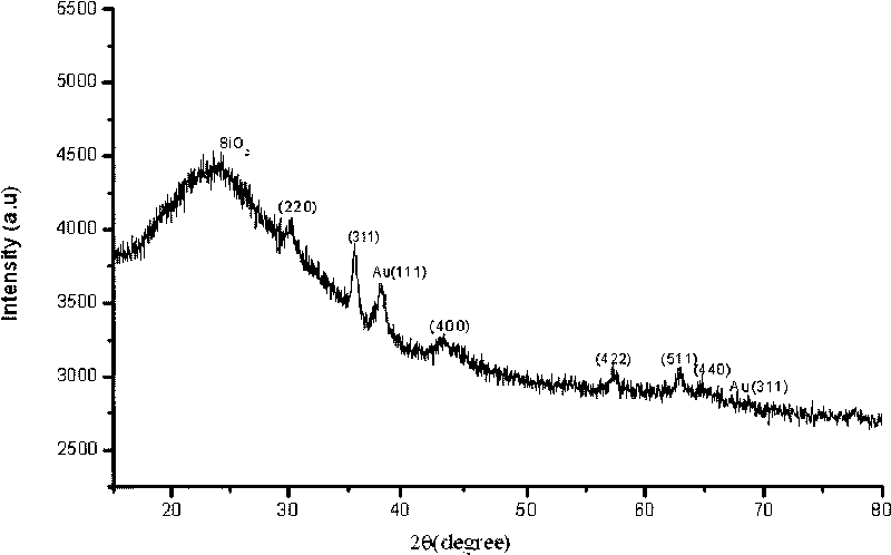 Preparation method of multi-pore canal nuclear shell type magnet gold compound nano-particle