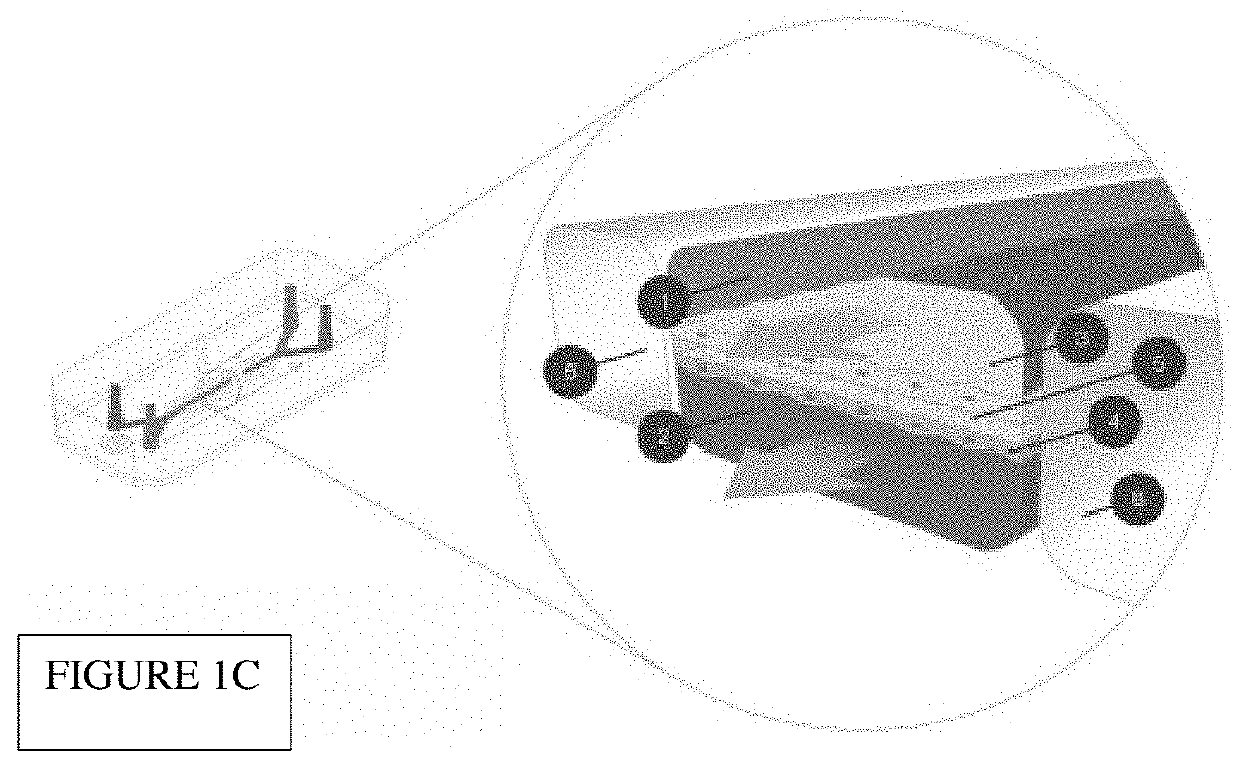 In vitro epithelial models comprising lamina propria-derived cells