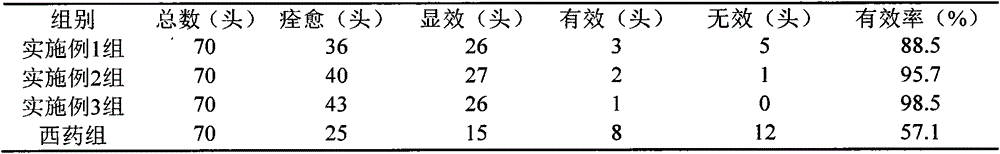 Botanical drug composite for treating swine dysentery and preparation method of composite