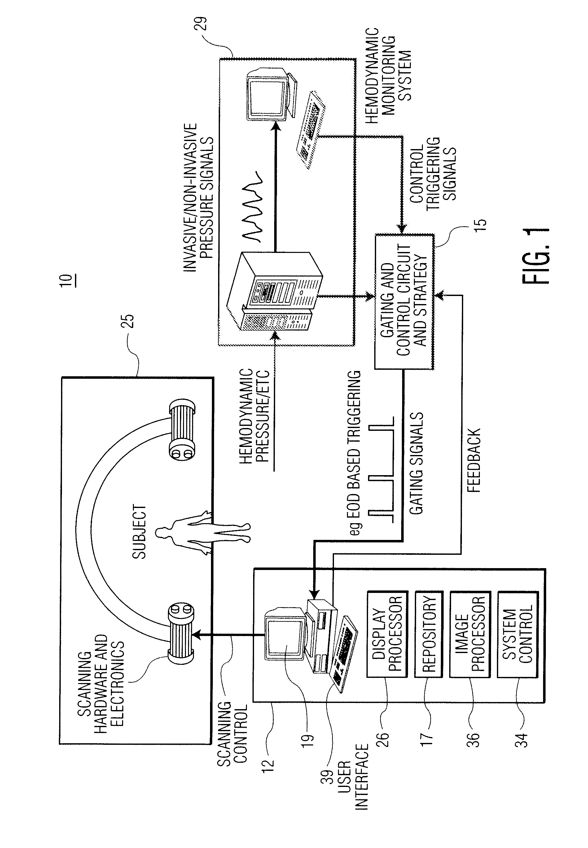 System for multi-dimensional anatomical functional imaging