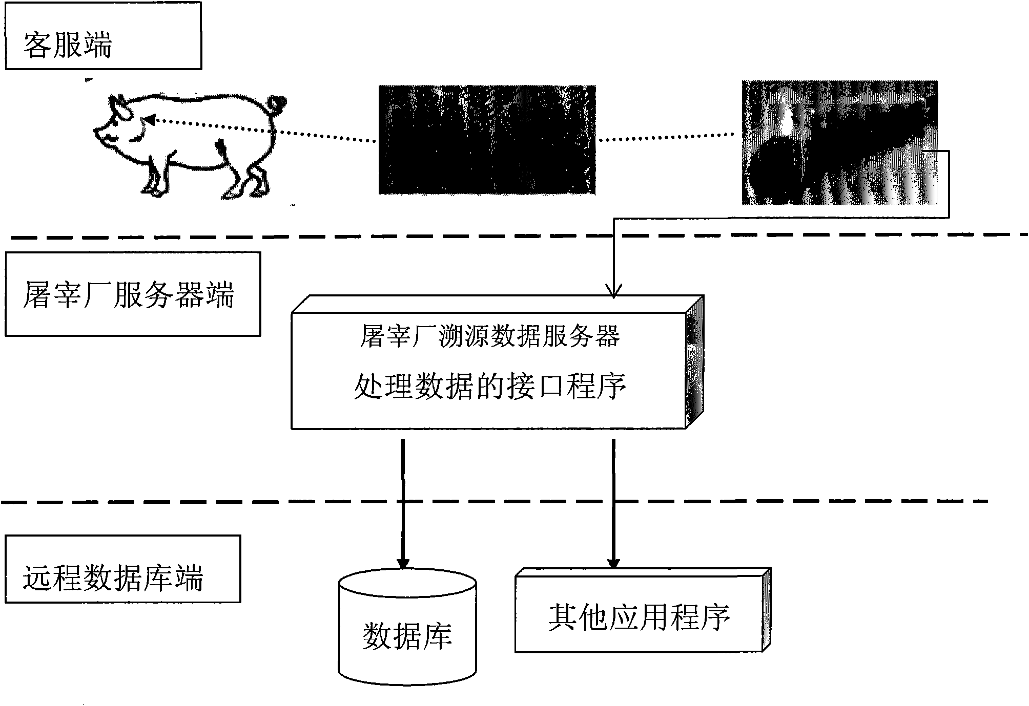 Pig carcass identification and data acquisition method based on ultrahigh frequency RFID (radio frequency identification devices) technology