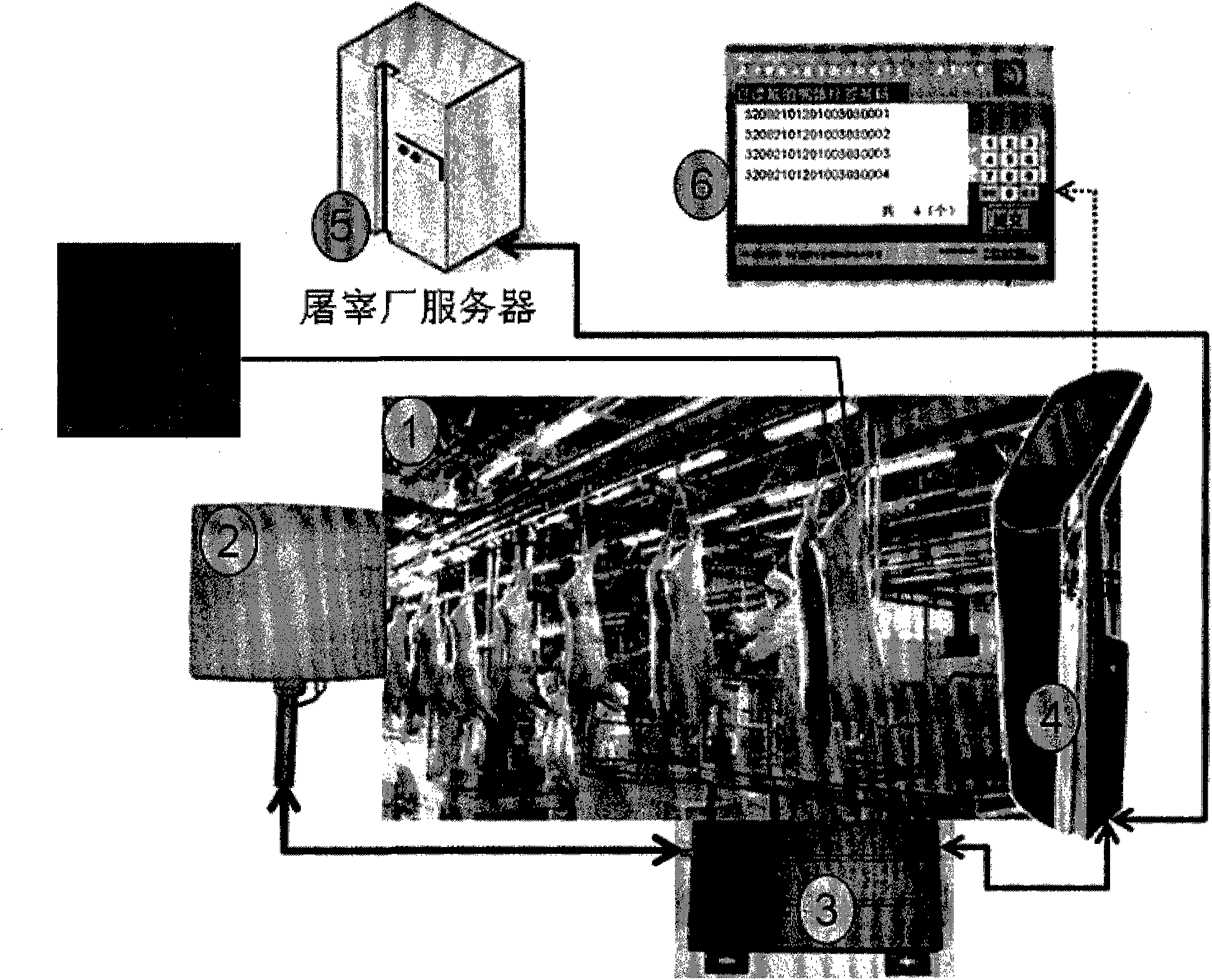 Pig carcass identification and data acquisition method based on ultrahigh frequency RFID (radio frequency identification devices) technology