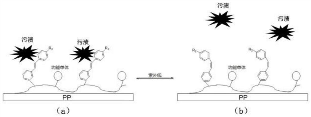 Photosensitive polypropylene material and preparation method thereof