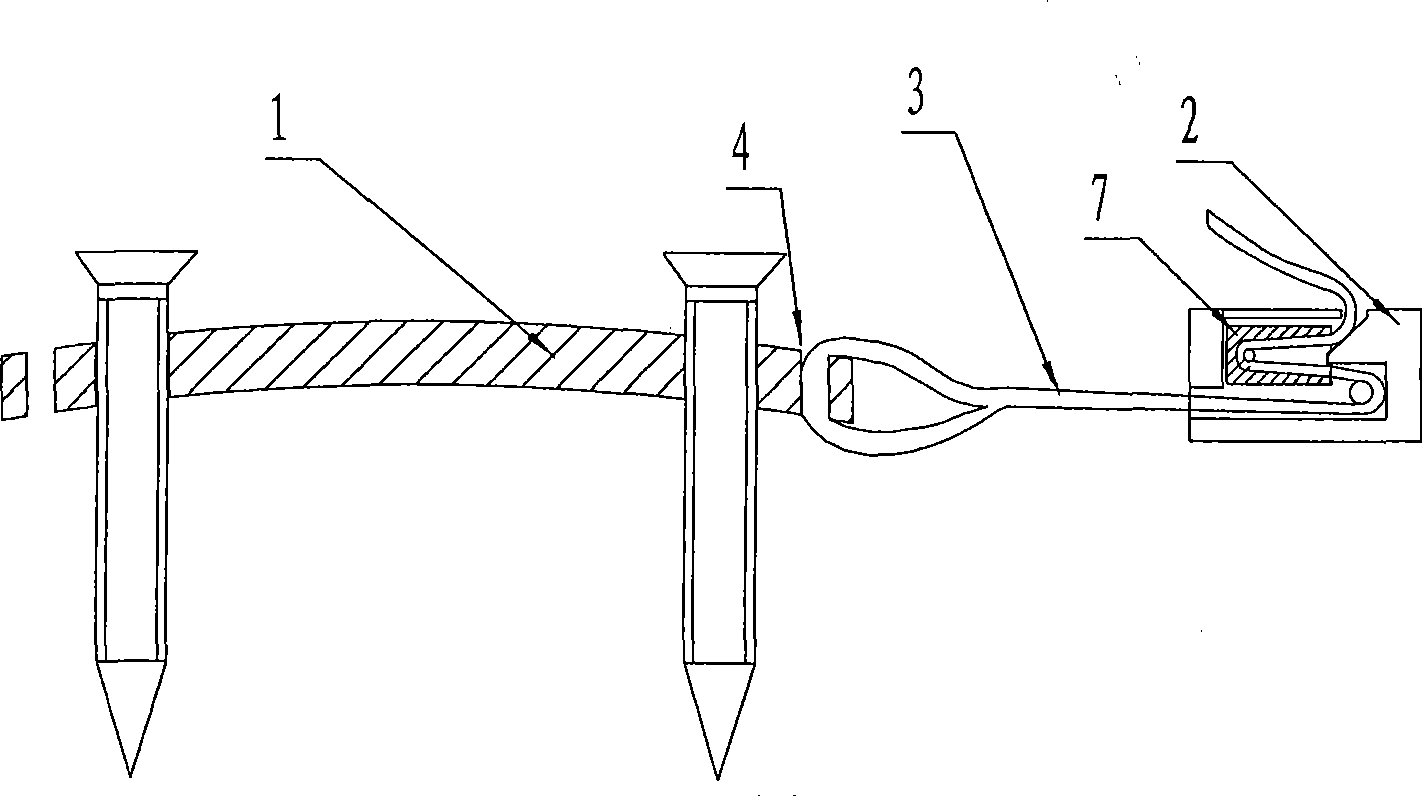 System for fixing anterior cervical and capable of preventing overcompensation movement