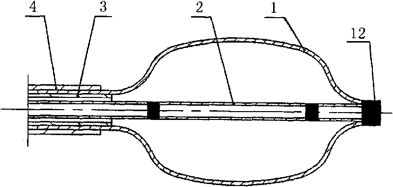 Minimal invasive centrum elastic capsule