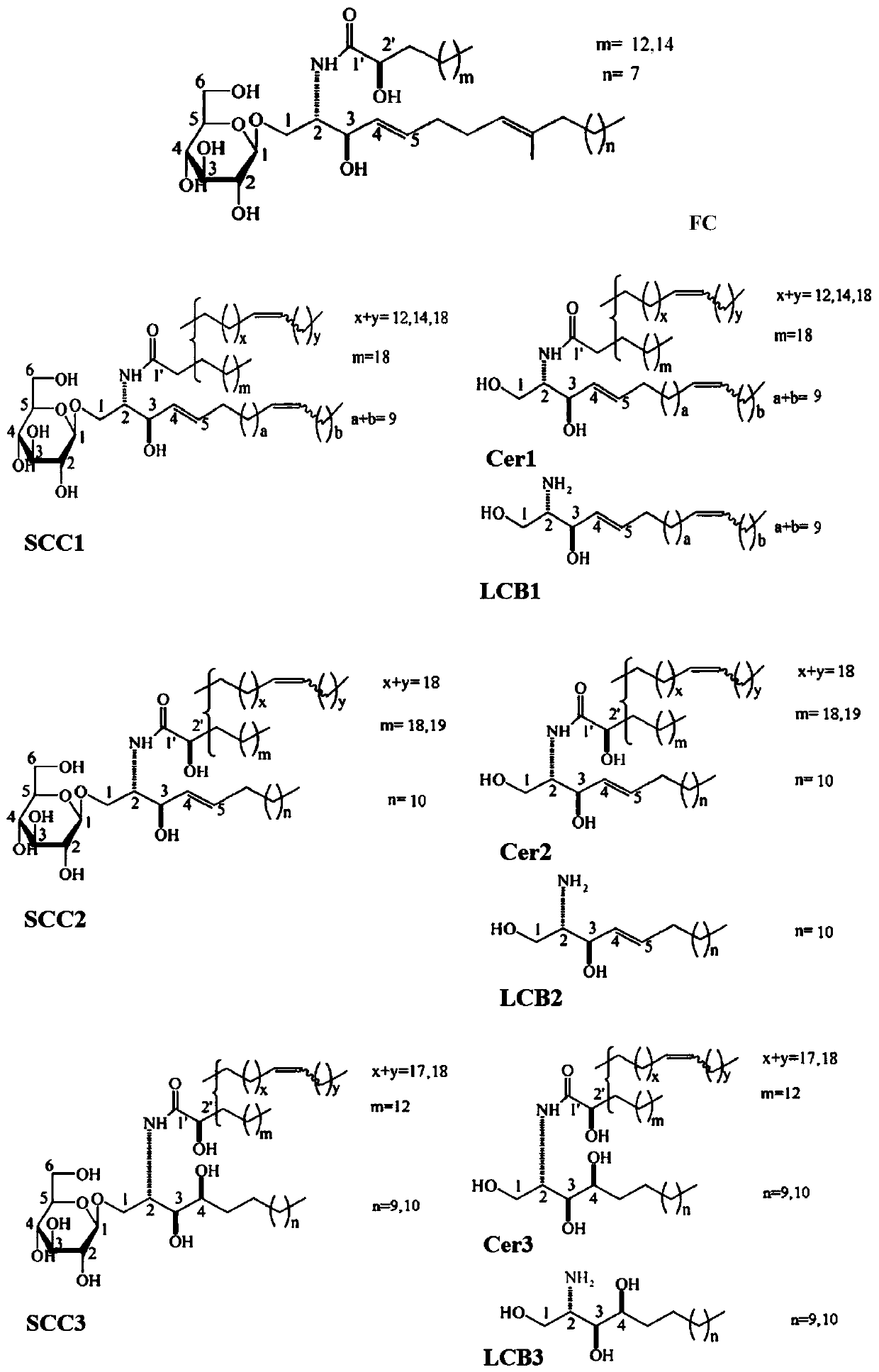 Application of holothurian cerebroside and derivatives thereof in products for improving blood-brain barrier injury