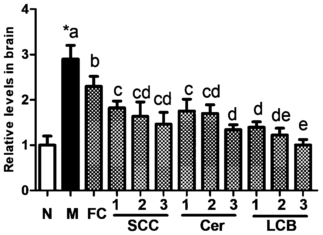 Application of holothurian cerebroside and derivatives thereof in products for improving blood-brain barrier injury