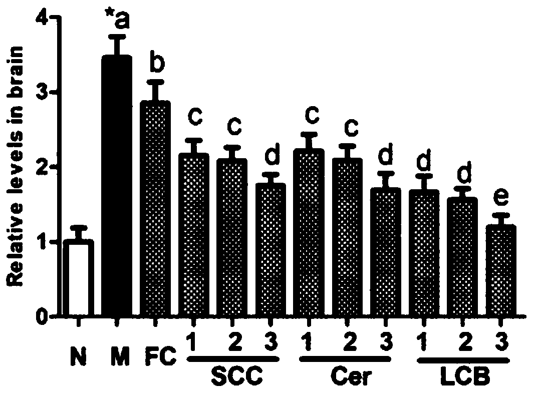 Application of holothurian cerebroside and derivatives thereof in products for improving blood-brain barrier injury