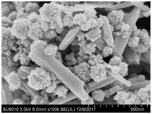 A kind of adsorbent for removing cobalt ion in sewage and preparation method thereof