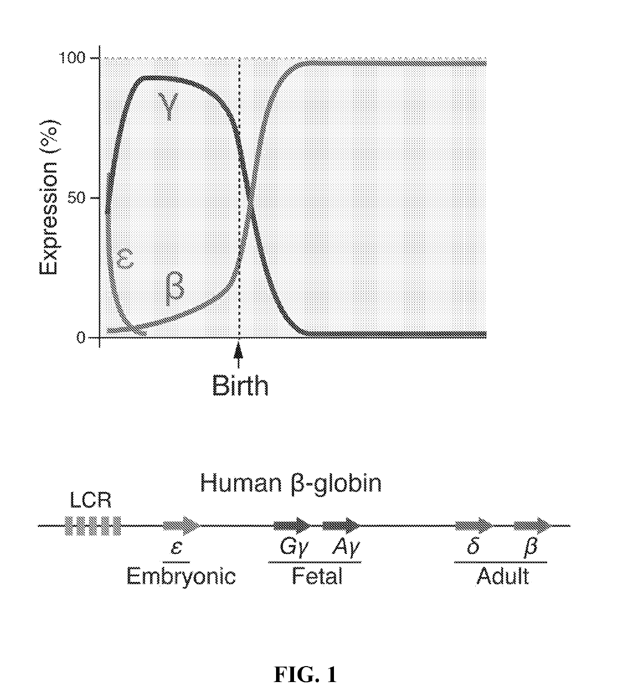 Methods for identifying and treating hemoglobinopathies