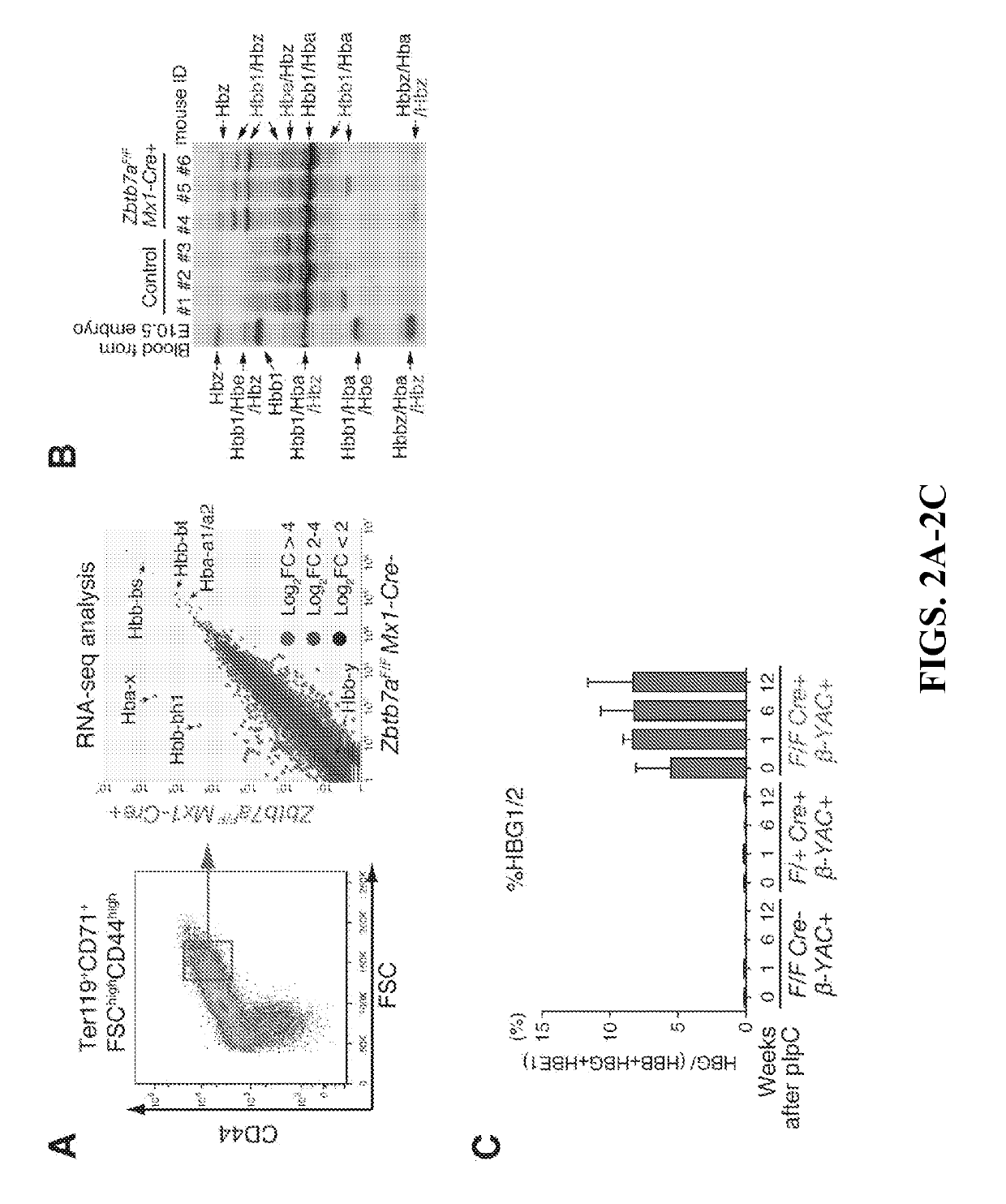 Methods for identifying and treating hemoglobinopathies