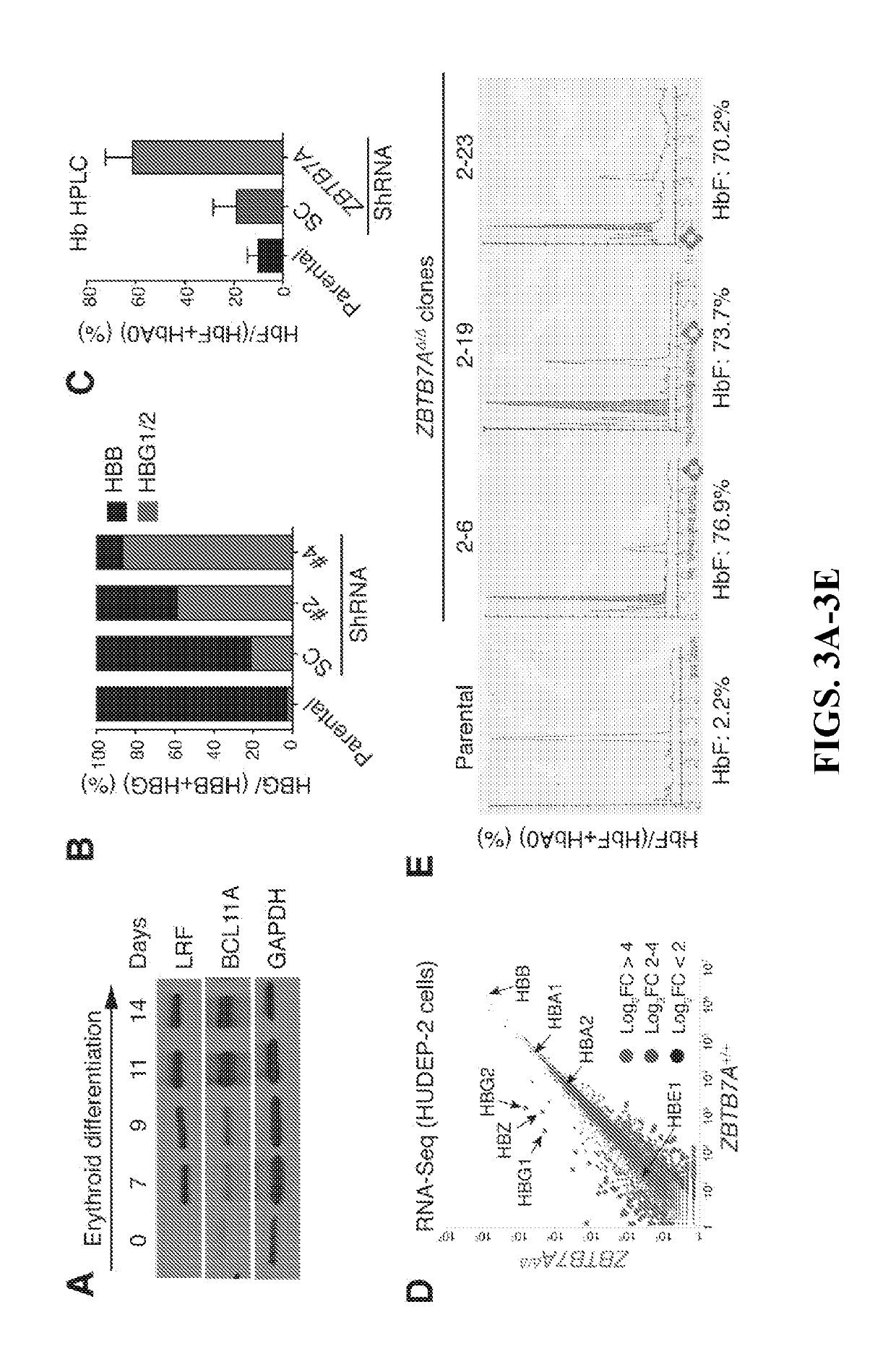 Methods for identifying and treating hemoglobinopathies