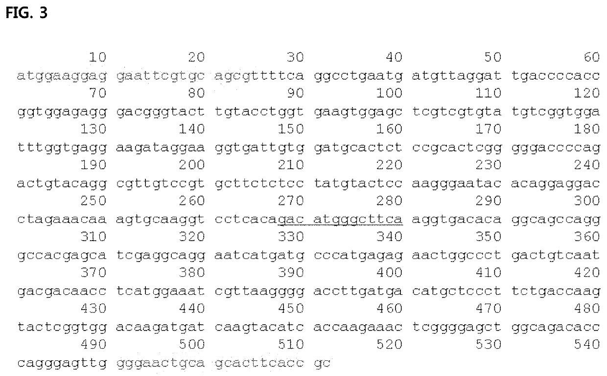 Genetic markers for discrimination and detection of bercoiver tk region on koi herpesvirus causing infectious aquatic organism diseases, and method of discriminating and detecting the virus using the same