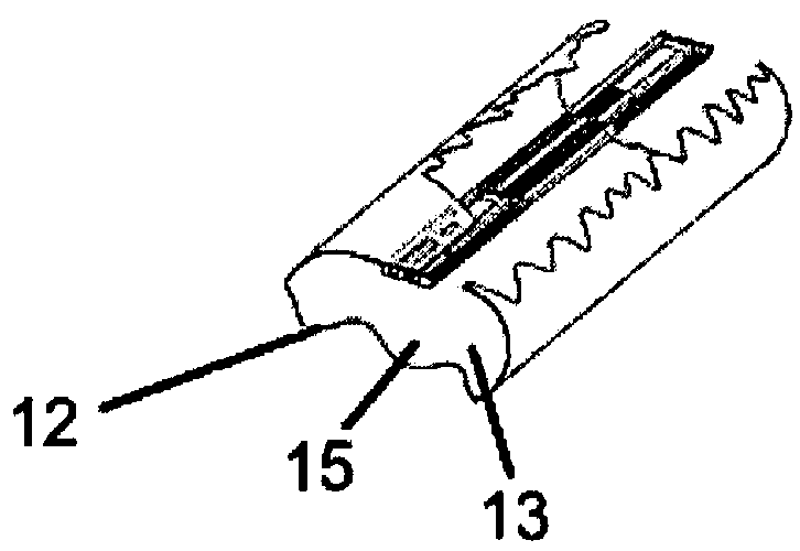 Drip irrigation system employing parallel adjacent flowpaths