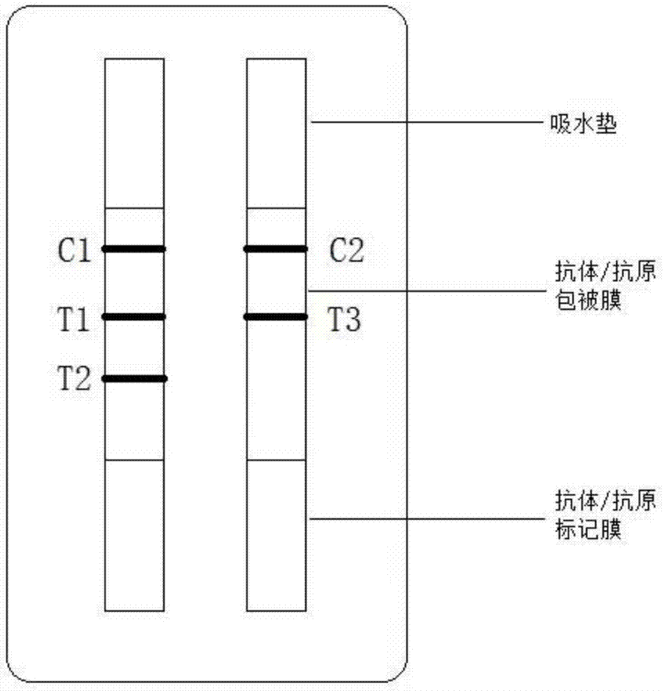 PG (pepsinogen) and H.pylori antibody detection method and kit