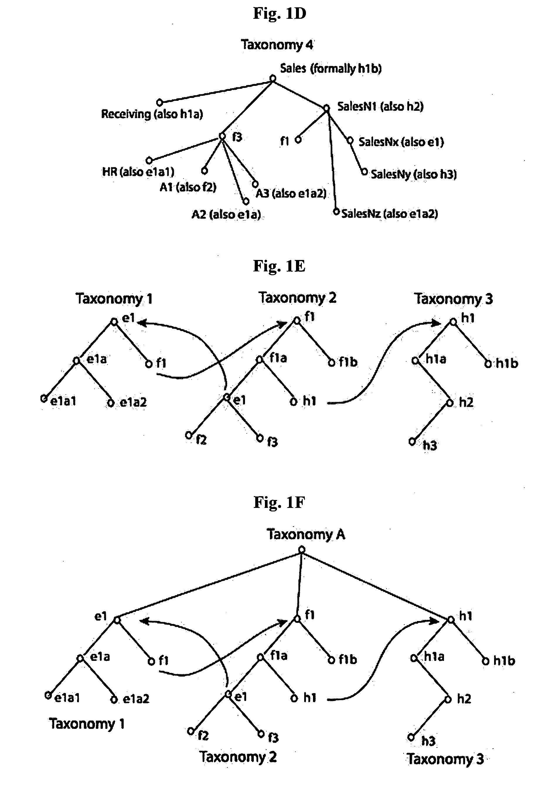 System for organizing a plurality of data sources into a plurality of taxonomies