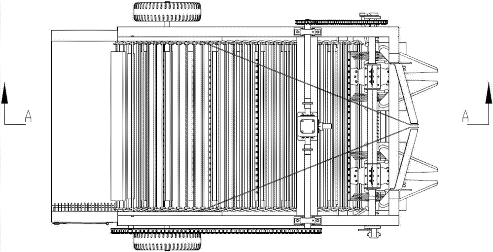 Harvester for rhizomatic crops