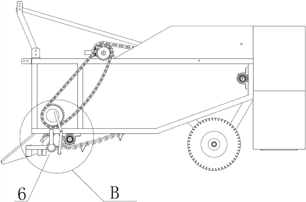 Harvester for rhizomatic crops