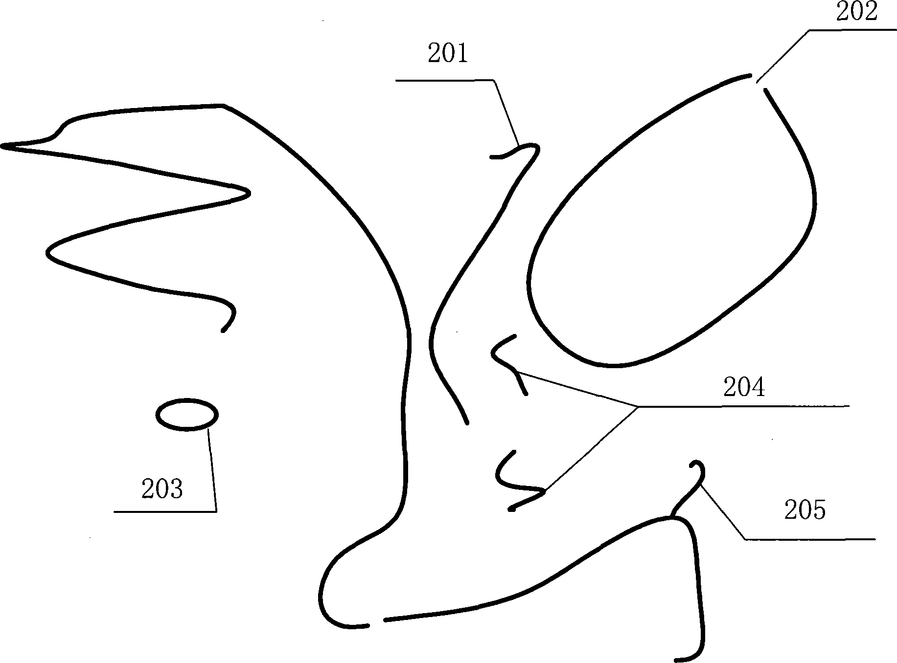 Anti-geometry attack robust watermarking method based on steady circular area