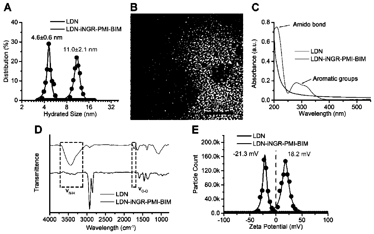 Conveying system of polypeptide-rare-earth material and preparation method and application