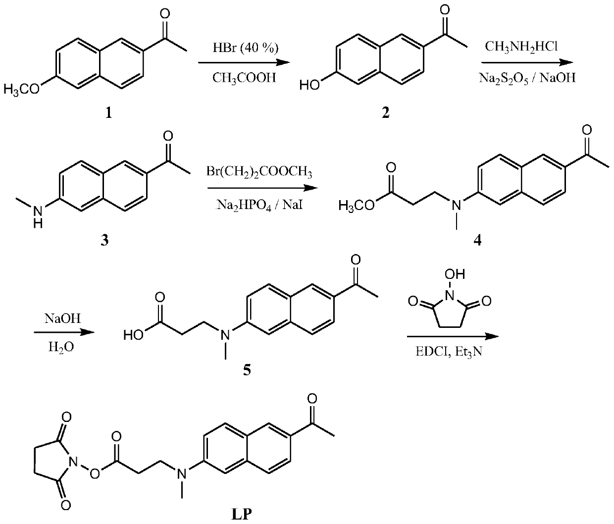 Two-photon fluorescence labeling probe, and synthesis method thereof and application of two-photon fluorescence labeling probe in novel coronavirus diagnosis