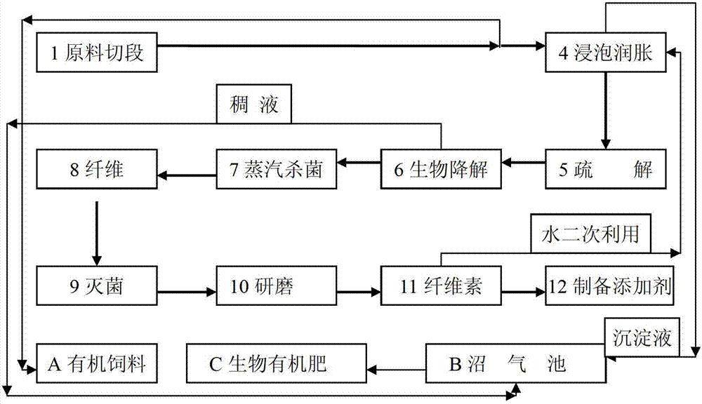 Composite flora and additive cellulose preparation method by using the same