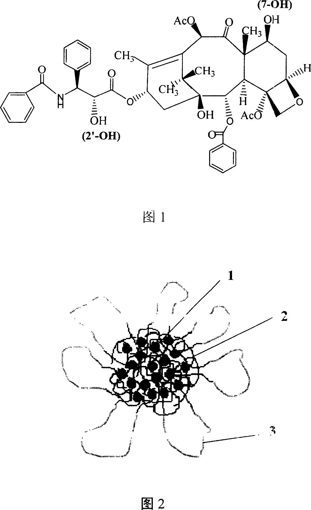 Amphiphilic tri-block copolymer taxol bonding medicament and synthesis method thereof