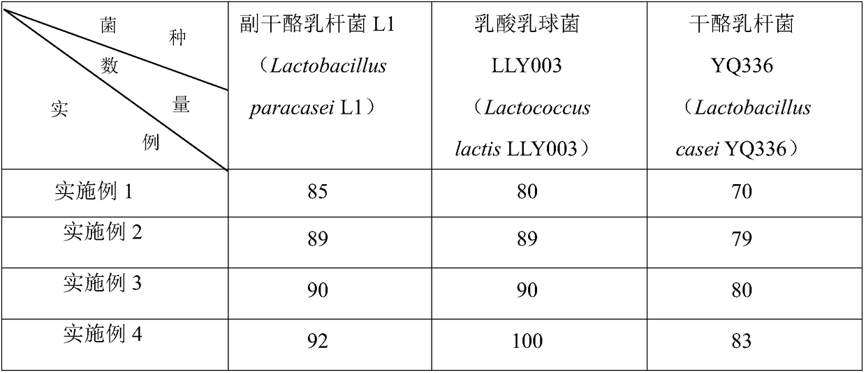 Method for rapidly fermenting corn juice drink by lactic acid bacterium composition